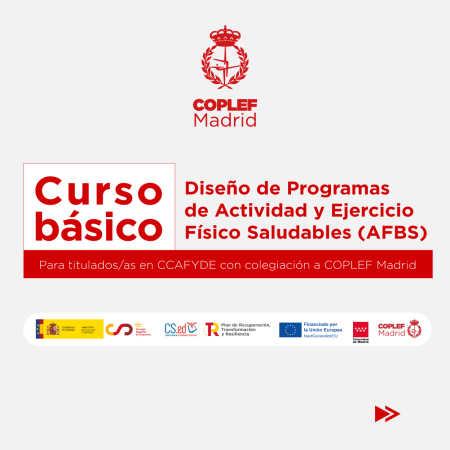 curso_basico_1 1